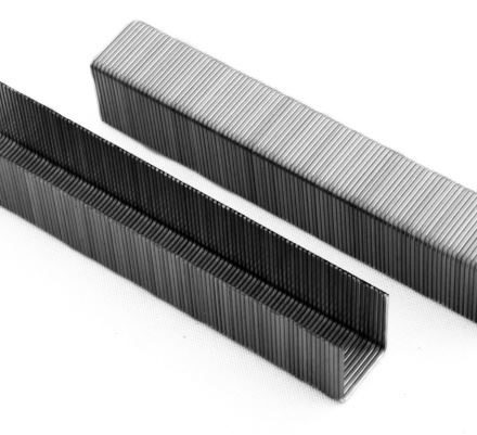 Zszywki do takera 10mm / 1000 sztuk