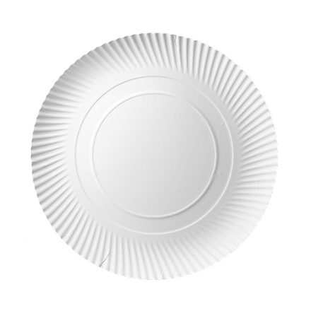 Talerze papierowe jednorazowe ekologiczne duże 30 cm, 100 sztuk