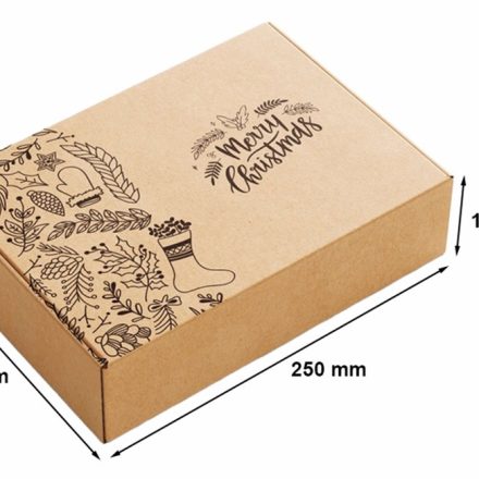 Karton świąteczny pudełko 250x200x100mm Merry Christmas brąz F427