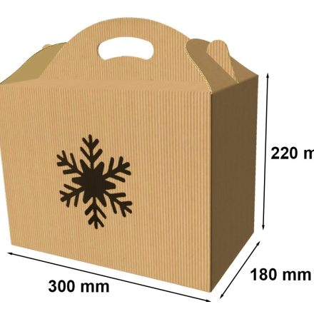 Opakowanie NEOPAK