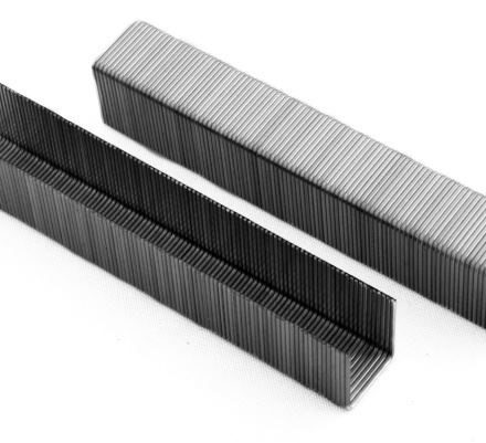 Zszywki do takera młotkowego 6mm / 1000szt