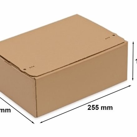 Pudełko automatyczne z paskiem klejącym 255x180x160 mm F703 InPost B